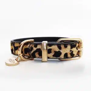 Das Leopard Hundehalsband gibt es in zwei Grössen. Hochwertiges Leder